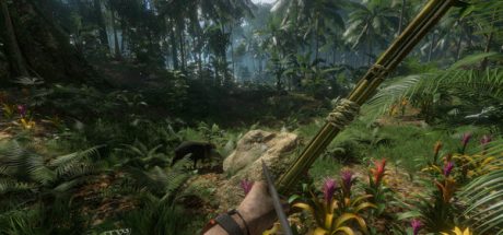 绿色地狱/丛林地狱【L14】